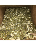 Anna Park organica Yerba Mate