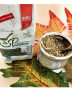La Posesiva yerba mate