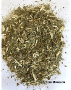 Grapia Milenaria