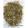 Grapia Milenaria