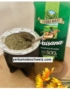 Paisana tipo PU-1 yerba mate