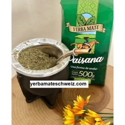 Paisana tipo PU-1 yerba mate