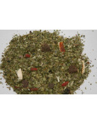 Frutas Yerba Mate Green
