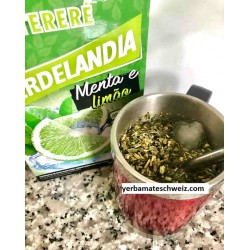 Verdelandia Tereré menta limão yerba mate