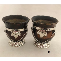 Camionero mit Alpaka