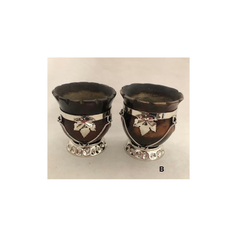 Camionero mit Alpaka