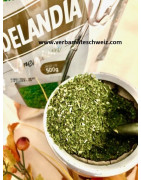 Verdelandia Pura Folha Tereré Premium yerba mate