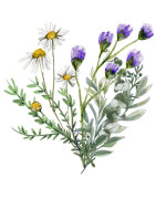with herbs