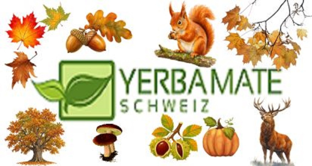 Yerba Mate Schweiz  